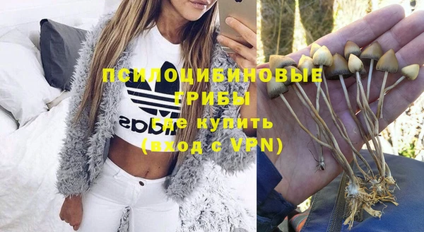 прущие грибы Абаза