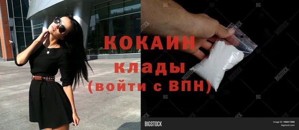 прущие грибы Абаза