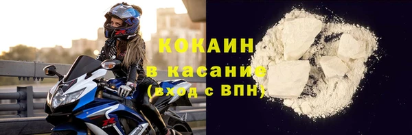 прущие грибы Абаза