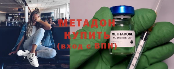 прущие грибы Абаза