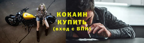 прущие грибы Абаза
