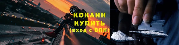 прущие грибы Абаза