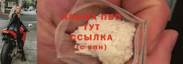 прущие грибы Абаза