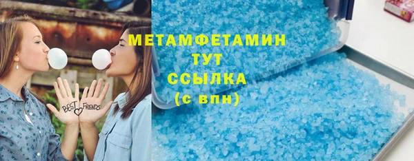 прущие грибы Абаза