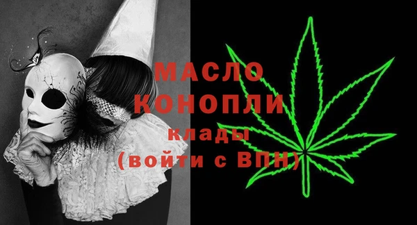 прущие грибы Абаза