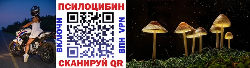 Галлюциногенные грибы прущие грибы darknet наркотические препараты Приморско-Ахтарск